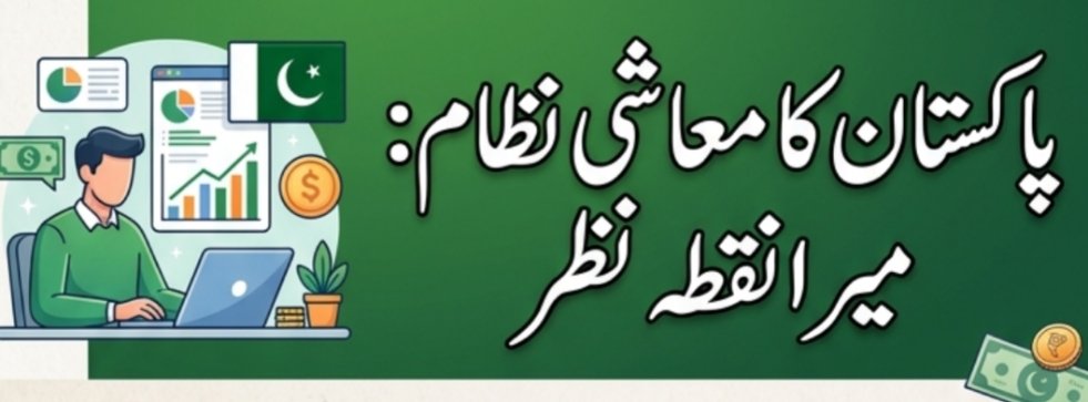 Some discussion on Pakistan's economic system in my own words